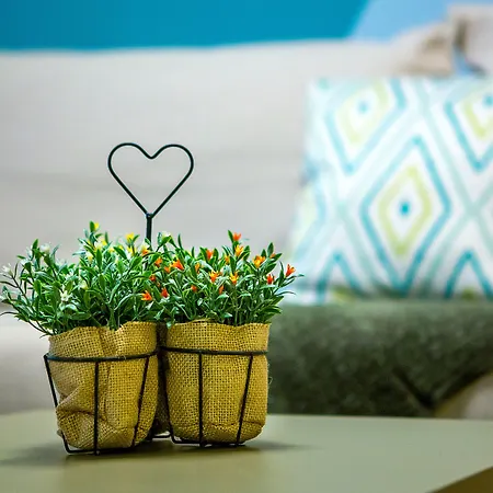 Emerald Suite-2